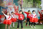 Merry Christmas 2024 - Ghi dấu mùa Giáng sinh an lành Hoa Trạng Nguyên